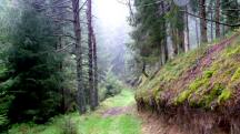  Blick auf die Wanderstrecke 