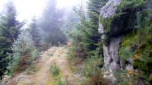 Blick auf die Wanderstrecke mit leichtem Bodennebel