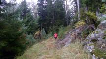  Blick auf die Wanderstrecke 