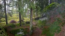  Blick auf die Wanderstrecke 