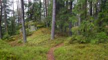  Blick auf die Wanderstrecke 