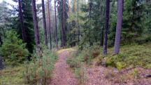  Blick auf die Wanderstrecke 