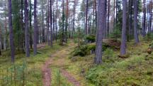  Blick auf die Wanderstrecke 