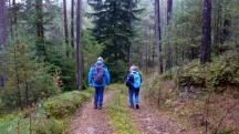  Blick auf die Wanderstrecke 