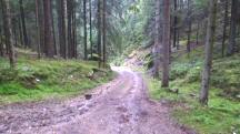 Blick auf die Wanderstrecke 