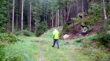  Blick auf die Wanderstrecke 