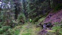  Blick auf die Wanderstrecke 