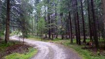  Blick auf die Wanderstrecke 