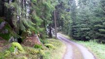  Blick auf die Wanderstrecke 