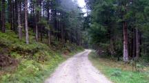  Blick auf die Wanderstrecke 