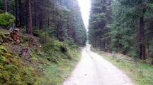  Blick auf die Wanderstrecke 