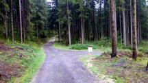Blick auf die Wanderstrecke bei der 2. Streckenteilung 