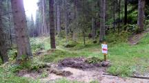  Blick auf die Wanderstrecke 