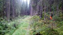  Blick auf die Wanderstrecke 