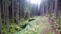  Blick auf die Wanderstrecke 