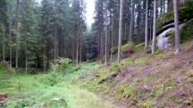  Blick auf die Wanderstrecke 