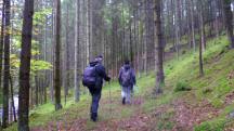  Blick auf die Wanderstrecke 