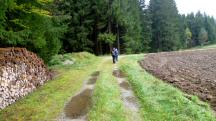  Blick auf die Wanderstrecke 