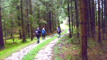  Blick auf die Wanderstrecke 