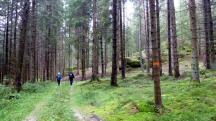  Blick auf die Wanderstrecke 