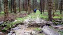  Blick auf die Wanderstrecke 