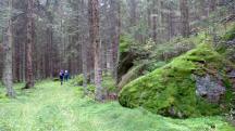  Blick auf die Wanderstrecke 