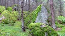  Blick zu imposante Felsformationen 