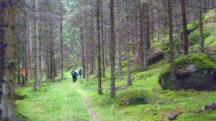  Blick auf die Wanderstrecke 