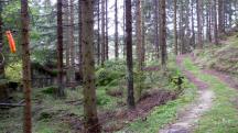  Blick auf die Wanderstrecke 