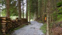  Blick auf die Wanderstrecke 