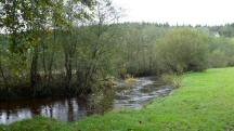  Blick zum "Groen Kamp" 