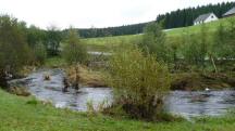  Blick auf den "Groen Kamp" flussabwrts 