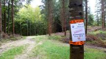 Blick auf die Wanderstrecke mit der Infotafel der Vorankndigung
