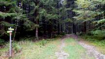 Blick auf die 20 km Wanderstrecke bei der Streckenteilung