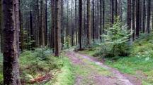  Blick auf die Wanderstrecke 