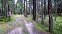 Blick auf die Wanderstrecke auch wieder mit der Marathonroute vereint