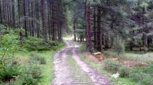  Blick auf die Wanderstrecke 