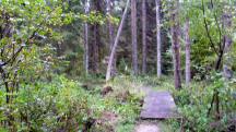  Blick auf die Wanderstrecke 