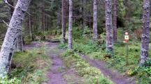  Blick auf die Wanderstrecke 