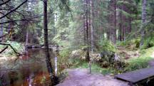  Blick auf die Wanderstrecke beim "Groen Kamp" 