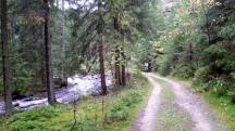  Blick auf die Wanderstrecke entlang des "Groen Kamp" 