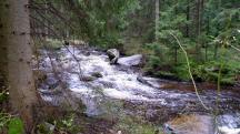  Blick auf den "Groen Kamp" - Hllfall 