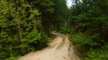  Blick auf die Wanderstrecke entlang des "Groen Kamp" 