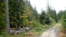  Blick auf die Wanderstrecke entlang des "Groen Kamp" 