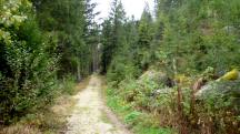  Blick auf die Wanderstrecke entlang des "Groen Kamp" 