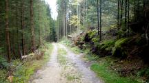  Blick auf die Wanderstrecke entlang des "Groen Kamp" 