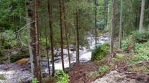  Blick auf den "Groen Kamp" - Hllfall 