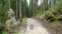 Blick auf die Wanderstrecke entlang des "Groen Kamp" 