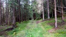  Blick auf die Wanderstrecke 
