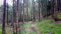  Blick auf die Wanderstrecke 